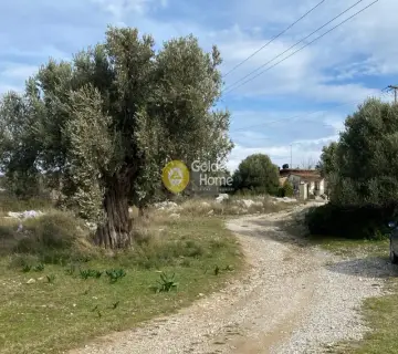 Βιομηχανικός - Βιοτεχνικός Χώρος 20000τ.μ. προς πώληση φωτογραφία 26