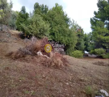 土地 925m<sup>2</sup> for sale photo 7