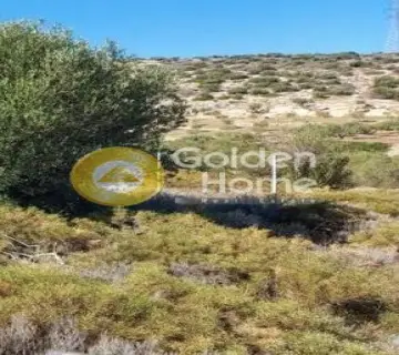 Αγροτεμάχιο 1291τ.μ. προς πώληση φωτογραφία 4137463