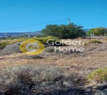 Αγροτεμάχιο 1291τ.μ. προς πώληση φωτογραφία 4137464