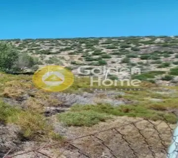 Αγροτεμάχιο 1291τ.μ. προς πώληση φωτογραφία 4137465