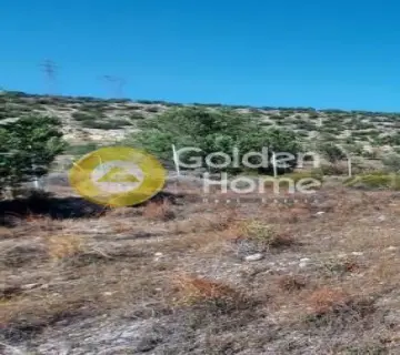 Αγροτεμάχιο 1291τ.μ. προς πώληση φωτογραφία 4137468