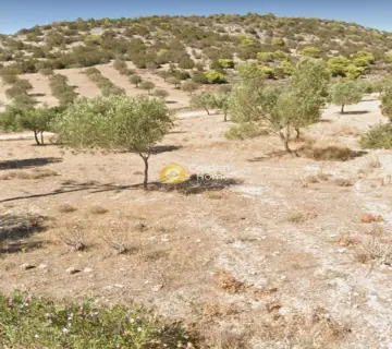 Residential 4200m<sup>2</sup> for sale photo 4072234