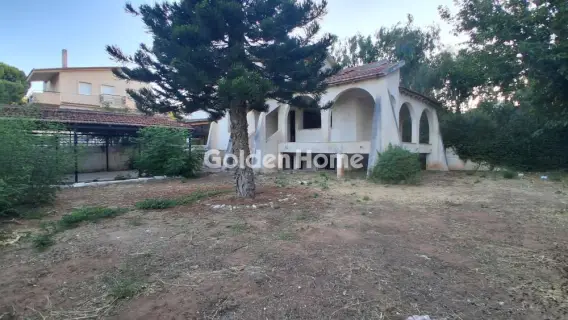 Residential 367m<sup>2</sup> for sale photo 5