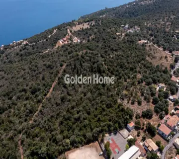 Professional Plot 32000m<sup>2</sup> for sale photo 15