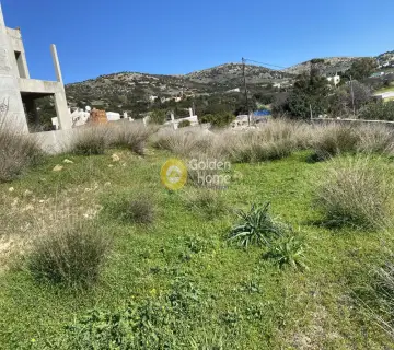 House 250m<sup>2</sup> for sale photo 5