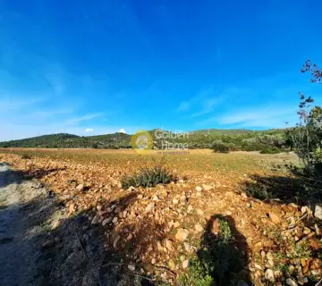 Parcel 11880m<sup>2</sup> for sale photo 4057782