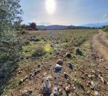 Parcel 11880m<sup>2</sup> for sale photo 4057787