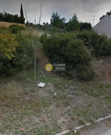 Residential 1355m<sup>2</sup> for sale photo 6