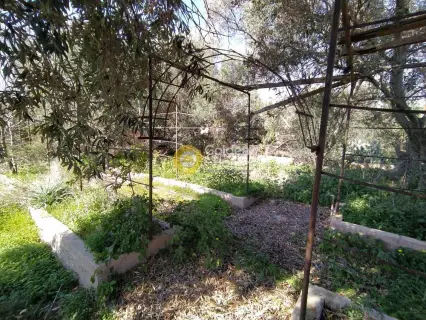 Residential 558m<sup>2</sup> for sale photo 1