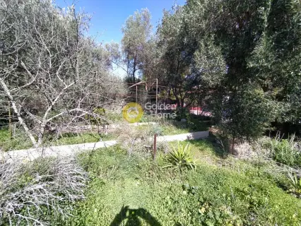 Residential 558m<sup>2</sup> for sale photo 2