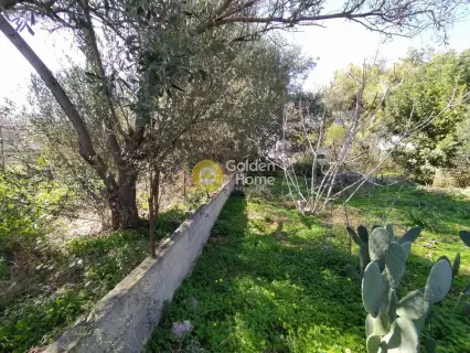 Residential 558m<sup>2</sup> for sale photo 4