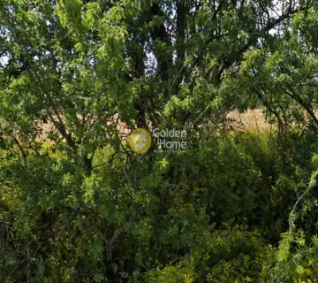 土地 1580m<sup>2</sup> for sale photo 4067505