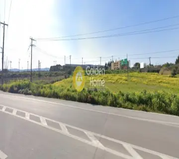 Professional Plot 10000m<sup>2</sup> for sale photo 4062657