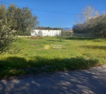 住宅 571m<sup>2</sup> for sale photo 4058612