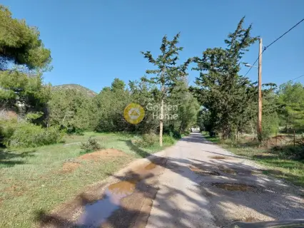 Residential 822m<sup>2</sup> for sale photo 5