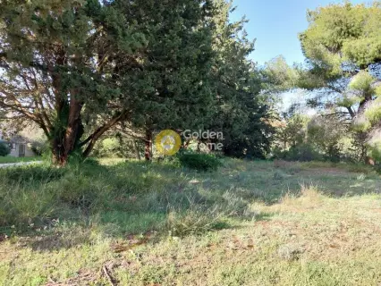 Residential 822m<sup>2</sup> for sale photo 2
