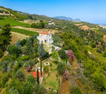 Golden Home Property Image