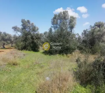 Parcel 2500m<sup>2</sup> for rent photo 4068856