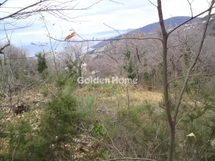 Οικιστικό 4654τ.μ. προς πώληση φωτογραφία 2