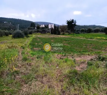 Επαγγελ. Οικόπεδο 4050τ.μ. προς ενοικίαση φωτογραφία 4075212