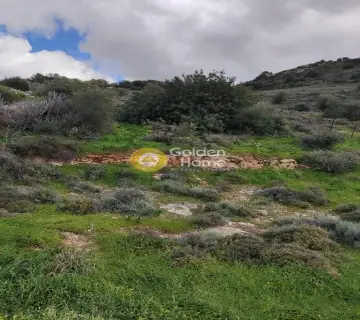 Residential 1500m<sup>2</sup> for sale photo 13