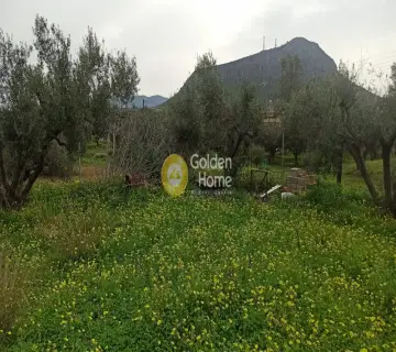 Golden Home Property Image