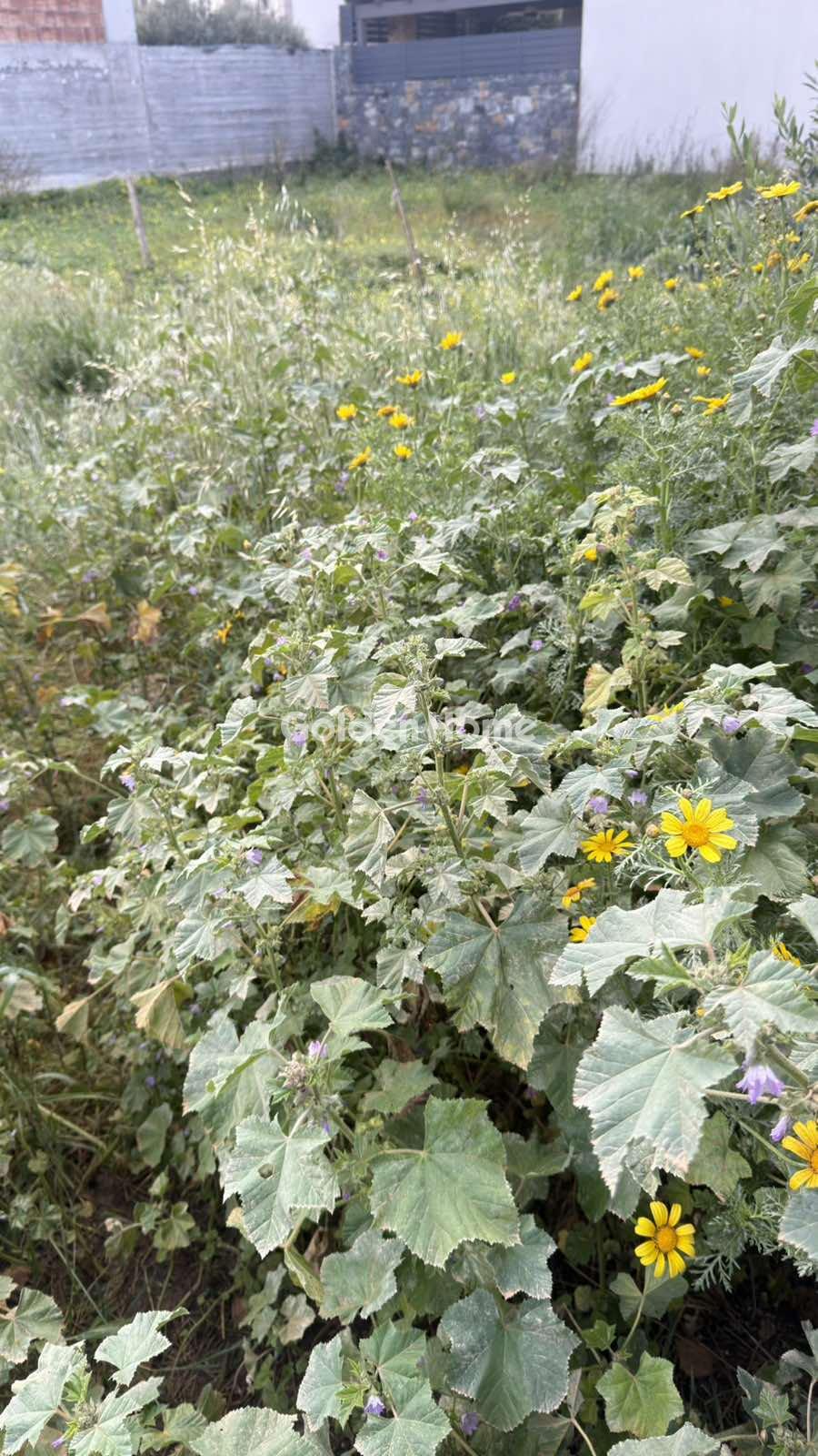 住宅 654m<sup>2</sup> for sale display photo