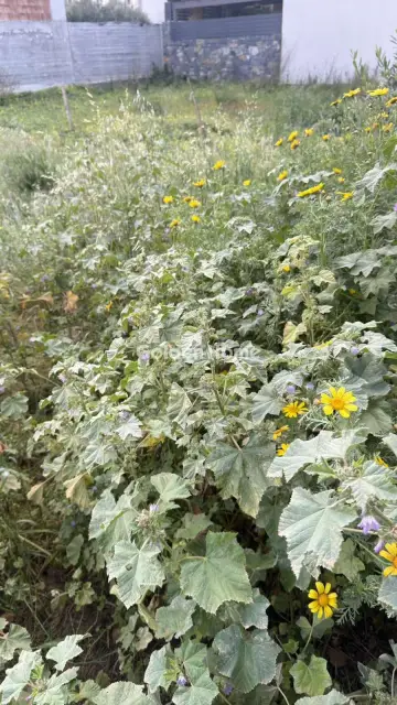 住宅 225m<sup>2</sup> for sale photo 1