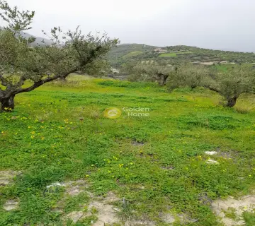Residential 938m<sup>2</sup> for sale photo 4079487