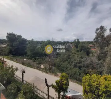 Μονοκατοικία 230τ.μ. προς πώληση φωτογραφία 4094532