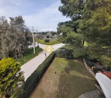 Μονοκατοικία 230τ.μ. προς πώληση φωτογραφία 4094534