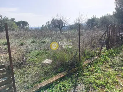 Οικιστικό 332τ.μ. προς πώληση φωτογραφία 8