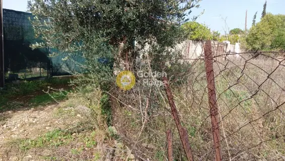 Οικιστικό 332τ.μ. προς πώληση φωτογραφία 13