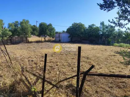 Οικιστικό 332τ.μ. προς πώληση φωτογραφία 3