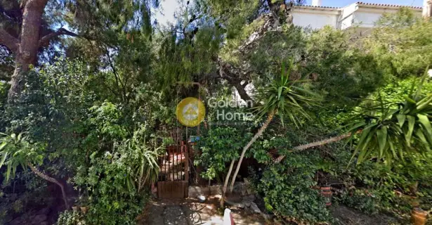 Golden Home Property Image