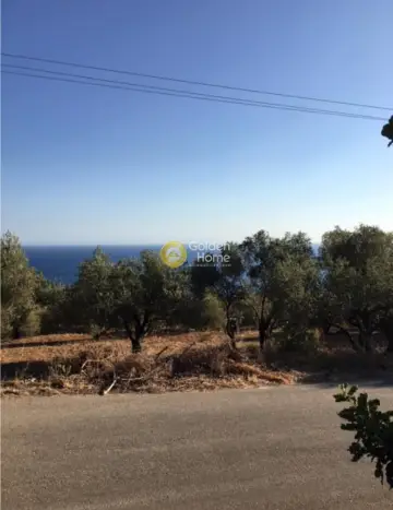 Οικιστικό 505τ.μ. προς πώληση φωτογραφία 4090088