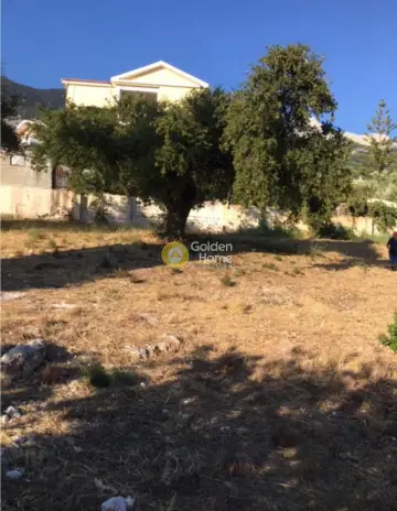 Οικιστικό 505τ.μ. προς πώληση φωτογραφία 4090090