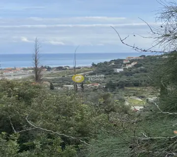 Residential 2000m<sup>2</sup> for sale photo 4084741