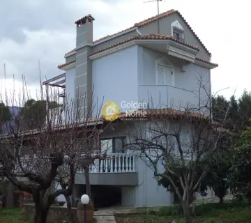Independent Maisonette 270m<sup>2</sup> for sale photo 4