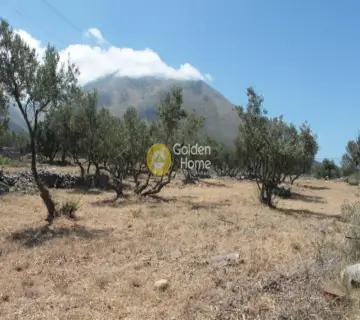 Οικιστικό 1650τ.μ. προς πώληση φωτογραφία 4