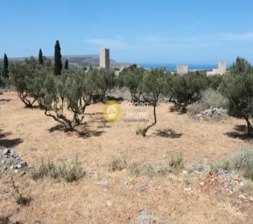 Οικιστικό 1650τ.μ. προς πώληση φωτογραφία 5