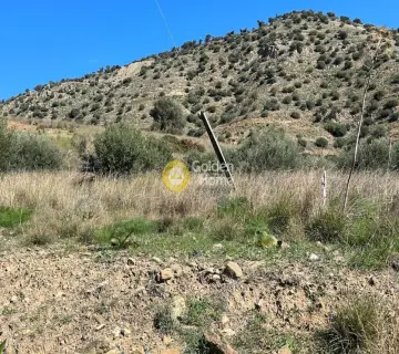 Residential 4000m<sup>2</sup> for sale photo 2