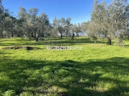 Residential 6350m<sup>2</sup> for sale photo 1