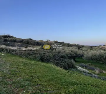Αγροτεμάχιο 3662τ.μ. προς πώληση φωτογραφία 4111230