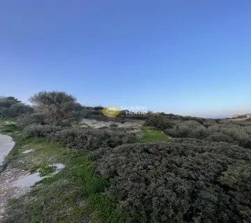 Αγροτεμάχιο 3662τ.μ. προς πώληση φωτογραφία 4111230