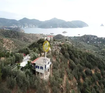 Golden Home Property Image