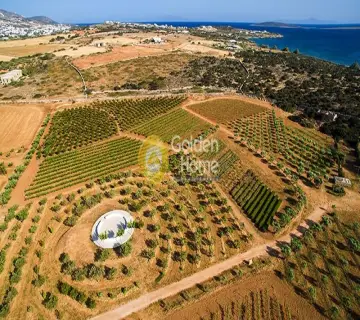 Golden Home Property Image