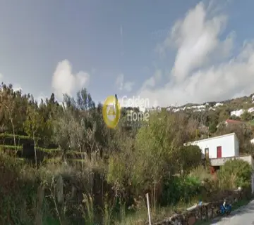 Οικιστικό 3200τ.μ. προς πώληση φωτογραφία 4104838