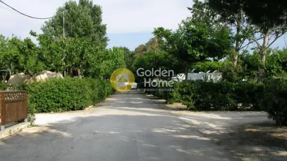 Golden Home Property Image